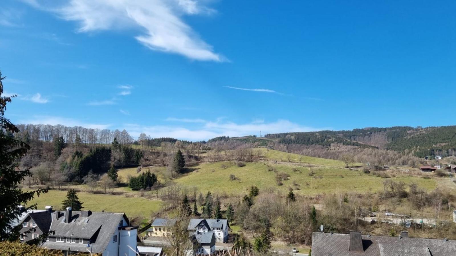 וילינגן Ferienwohnung Aartalblick Willingen מראה חיצוני תמונה